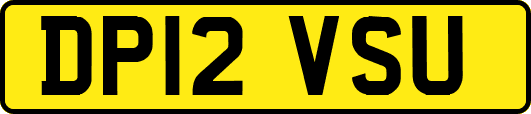DP12VSU