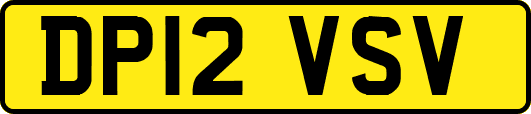 DP12VSV