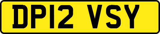 DP12VSY