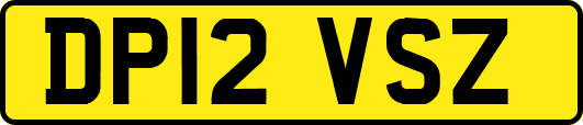 DP12VSZ