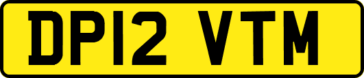 DP12VTM