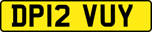 DP12VUY