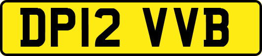 DP12VVB