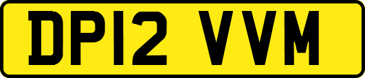 DP12VVM