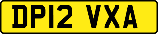 DP12VXA