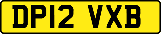 DP12VXB