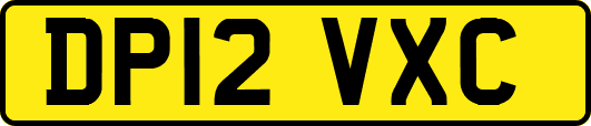 DP12VXC