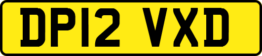 DP12VXD