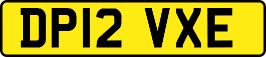 DP12VXE