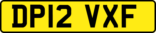 DP12VXF
