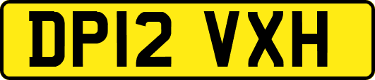 DP12VXH