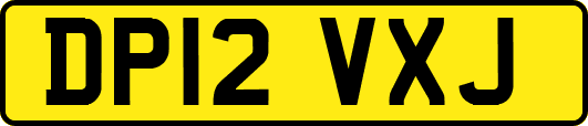 DP12VXJ