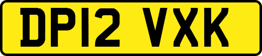 DP12VXK