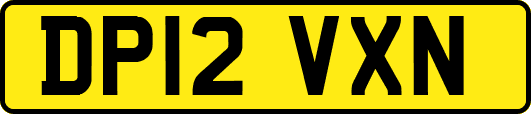 DP12VXN