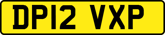 DP12VXP