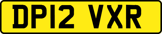 DP12VXR