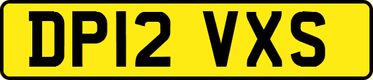 DP12VXS