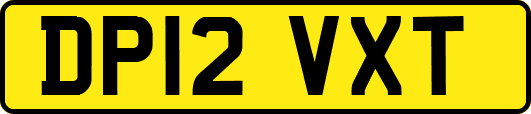 DP12VXT