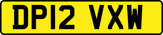 DP12VXW