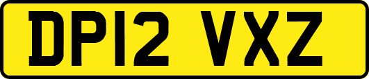 DP12VXZ