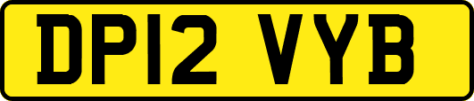 DP12VYB