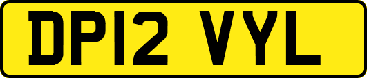DP12VYL