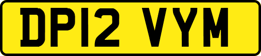 DP12VYM