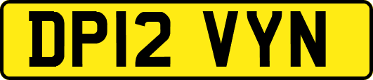 DP12VYN