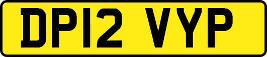 DP12VYP