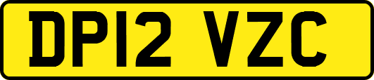 DP12VZC