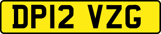 DP12VZG