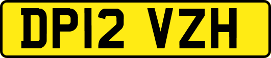 DP12VZH