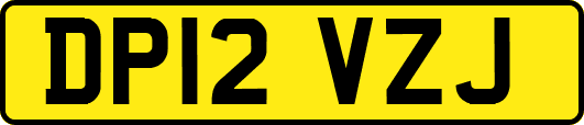 DP12VZJ