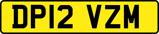 DP12VZM