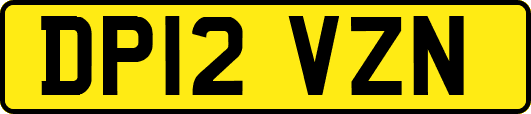 DP12VZN