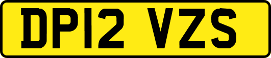 DP12VZS