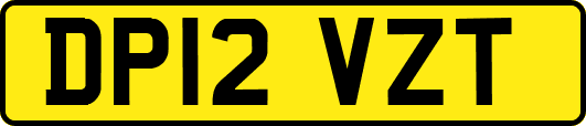 DP12VZT