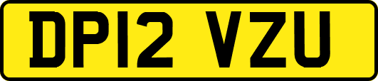 DP12VZU