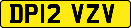DP12VZV