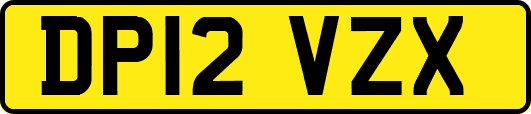 DP12VZX