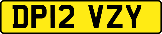 DP12VZY