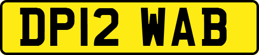 DP12WAB
