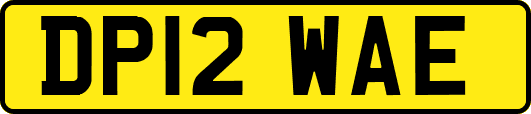 DP12WAE