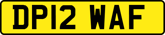 DP12WAF