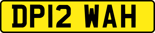 DP12WAH