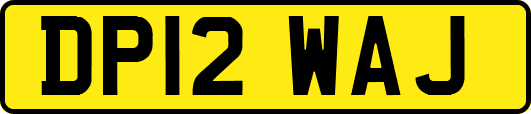 DP12WAJ