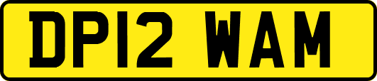 DP12WAM