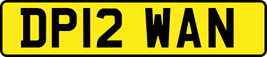 DP12WAN