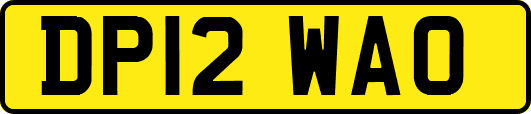DP12WAO