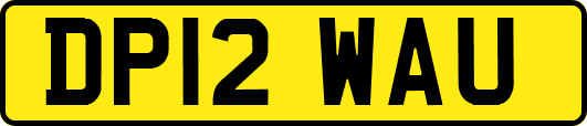 DP12WAU